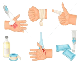 5 basic principles for the management of a wound – Fibroheal